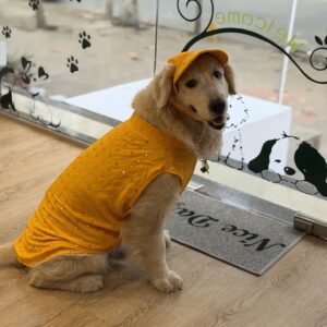 Pet Clothes